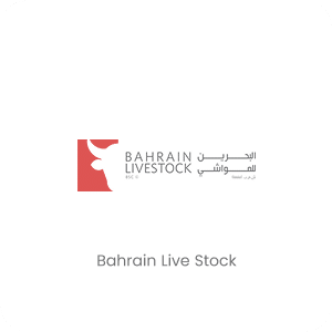 Bahrain Live Stock